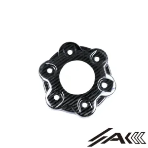 Ducati Panigale V4 Dry Carbon Fiber Rear Crankset Cover | AK Carbon