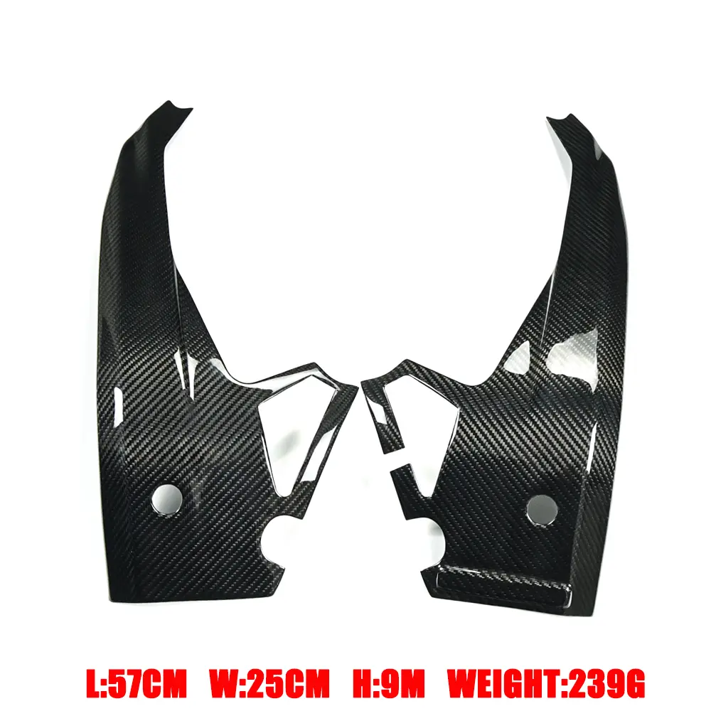 Side View of Aprilia RS 660 Carbon Fiber Frame Cover Plate Side View of Aprilia RS 660 Carbon Fiber Frame Cover Plate