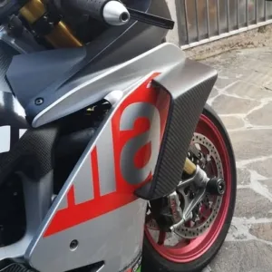 Carbon Fiber Winglets