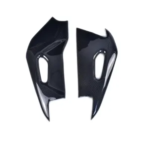 2009-2020 Aprilia RSV4 / 2013-2020 Tuono Carbon Fiber Swingarm Cover