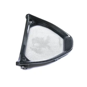 2021-2024 Aprilia RSV4 Tuono Carbon Fiber Radiator Guard V-Panel