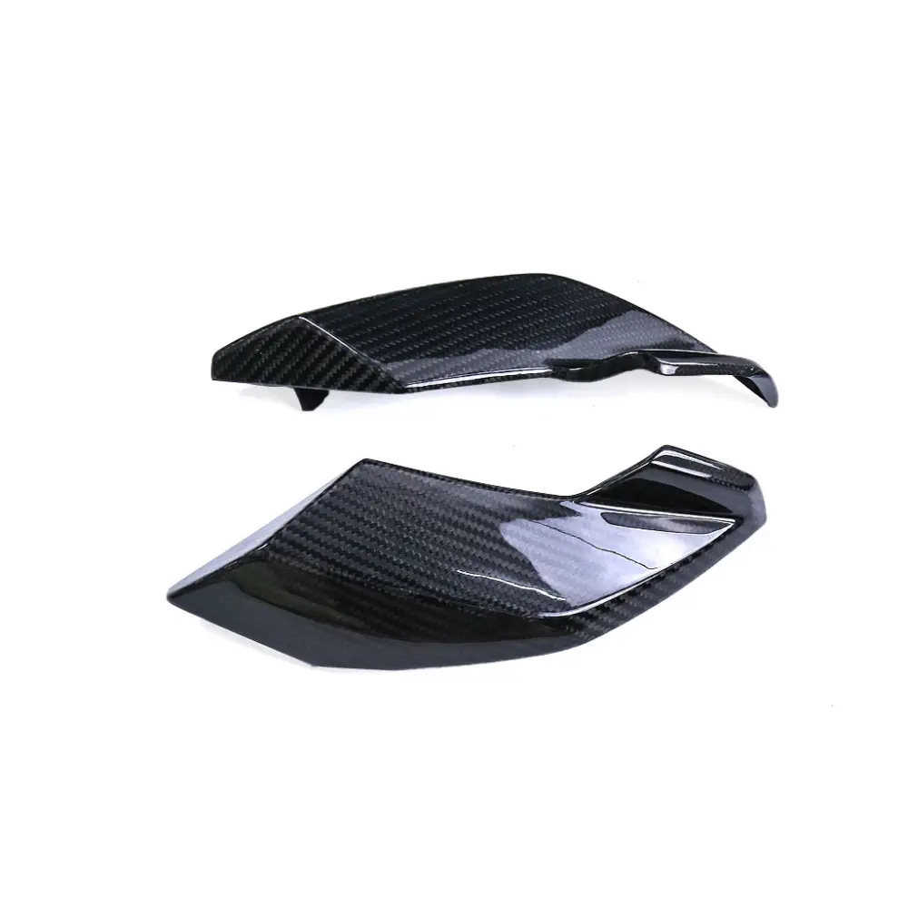 2021-2024 BMW S1000R Carbon Fiber Front Lower Headlight Side Panels 2021-2024 BMW S1000R Carbon Fiber Front Lower Headlight Side Panels