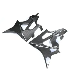 ak-carbon-belly-pan-lower-panel-for-2009-2014-bmw-s1000rr-angle