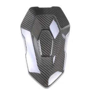 2021-2024 BMW S1000R Carbon Fiber Rear Seat Back Cover