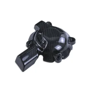 ak-carbon-engine-cover-fairing-for-2019-2022-bmw-s1000rr-angle