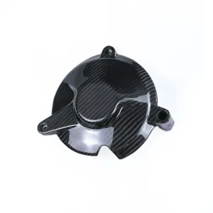ak-carbon-engine-cover-for-2015-2018-bmw-s1000rr-main