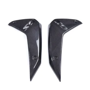 ak-carbon-small-side-panel-fairing-for-2023-2025-bmw-r1300gs-main