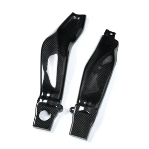 ak-carbon-swingarm-cover-for-2024-2025-yamaha-mt09-fz09-main