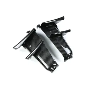 ak-carbon-winglets-for-2024-2025-yamaha-mt09-fz09-main
