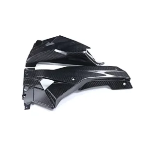 Angled View of Aprilia RS 457 Carbon Fiber Belly Pan Lower Side Panels